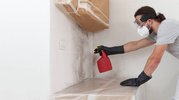 Professional Mold Cleanup technician working in Boonton, NJ