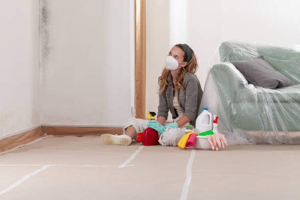 Reliable Mold Cleanup contractor in Boonton, NJ by WQB Mold Removal